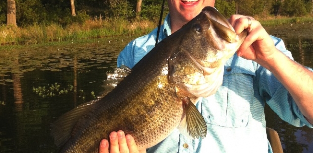 Dane Hardys guest, Jake Logan, landed this 11 pound monster, post spawn at Oakwood Lake Leon.